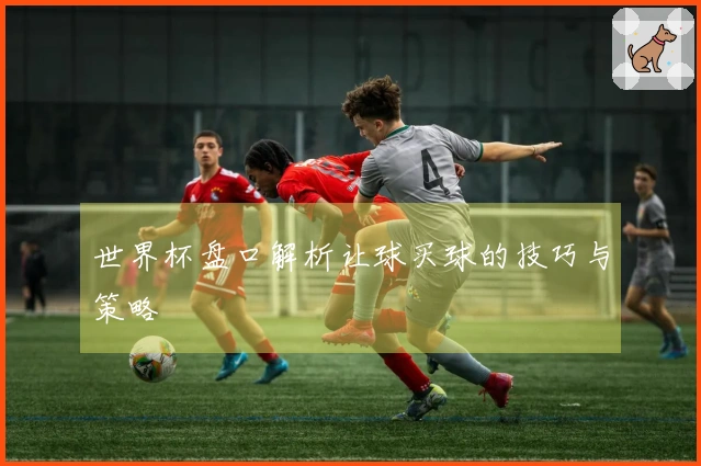 世界杯盘口解析让球买球的技巧与策略