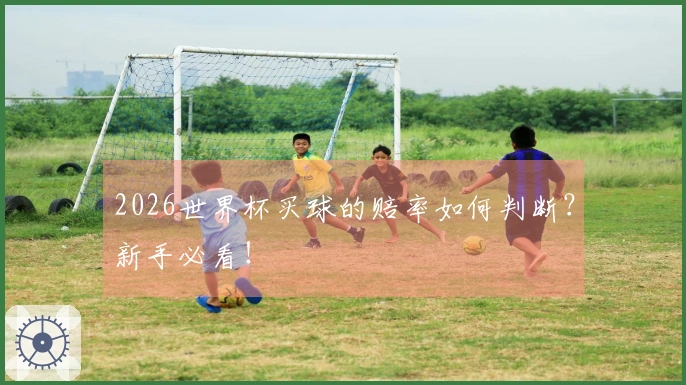 2026世界杯买球的赔率如何判断？新手必看！