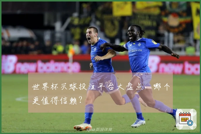 世界杯买球投注平台大盘点，哪个更值得信赖？