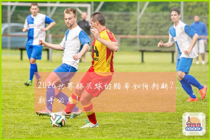 2026世界杯买球的赔率如何判断？新手必看！